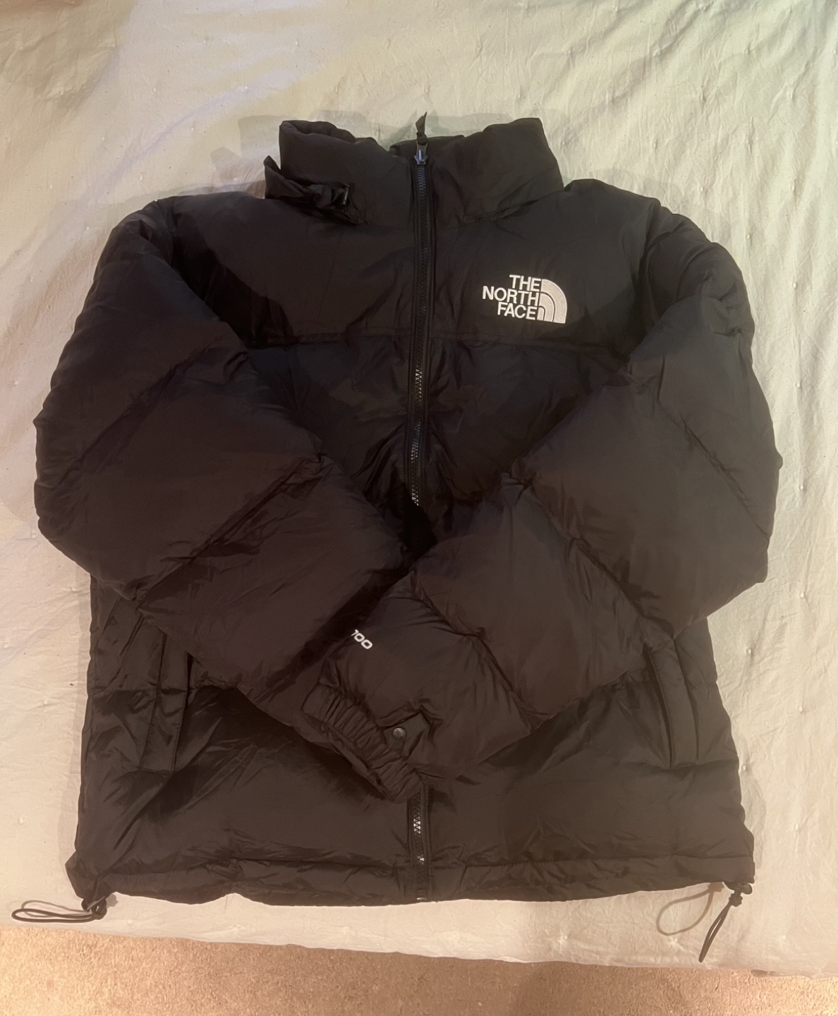 The North Face Men’s 1996 Retro Nuptse 700 Down Puffer Jacket