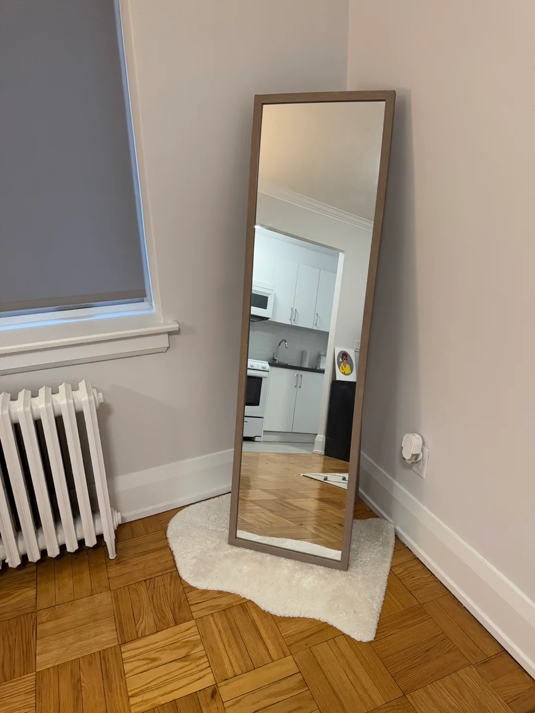 Full Length Mirror image indicator(2)