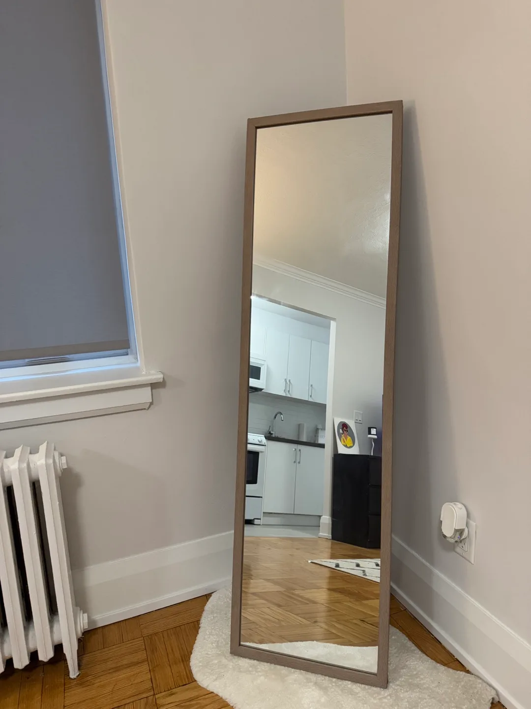 Full Length Mirror image indicator(4)
