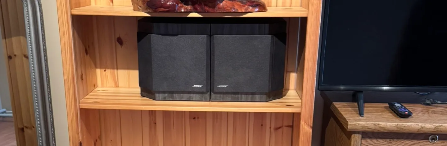 Bose 2001 Speakers image indicator(6)