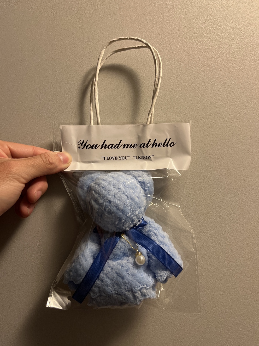 Blue Plush Teddy Bear Keychain ❤️