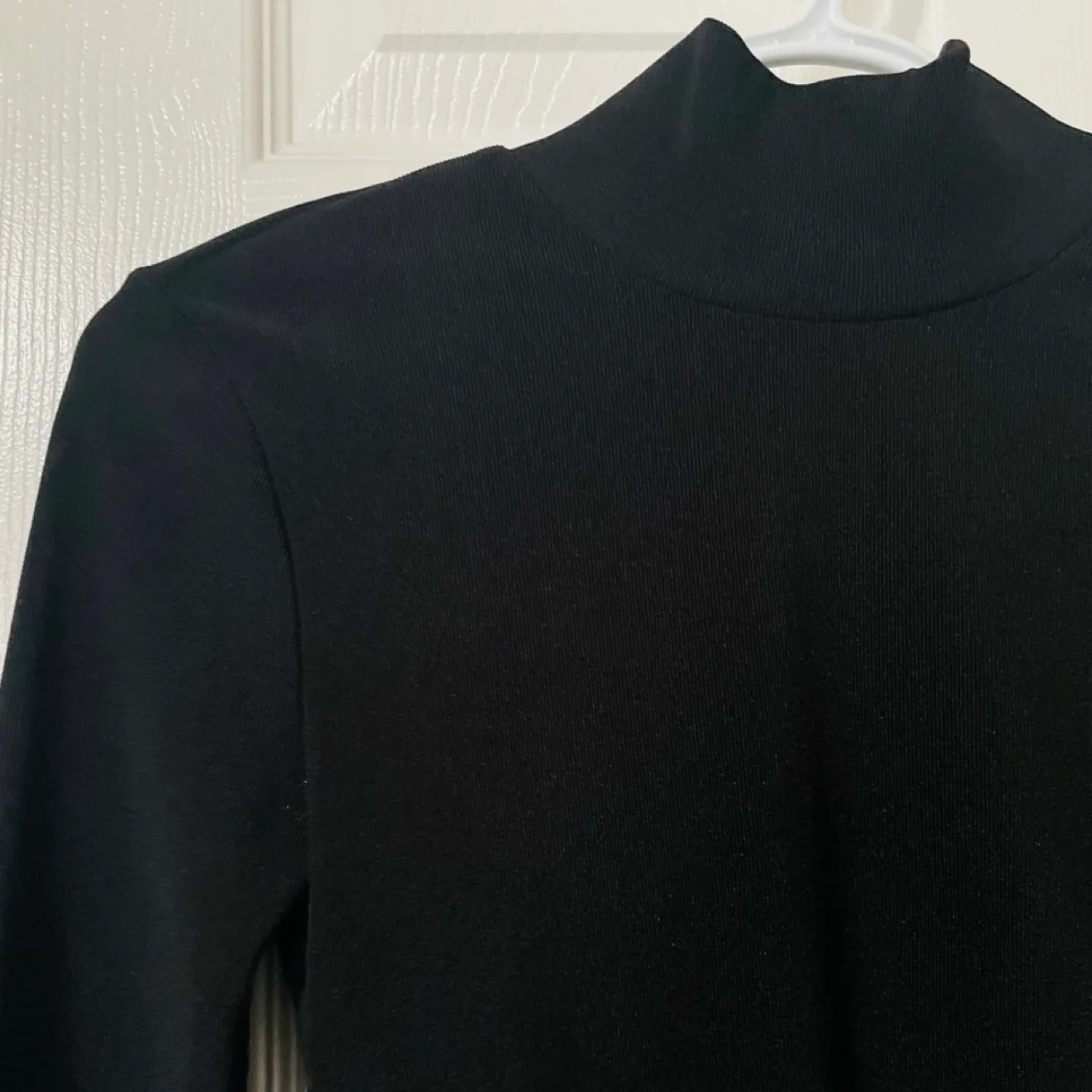 Zara High Neck Long Sleeve Black Bodysuit image indicator(6)