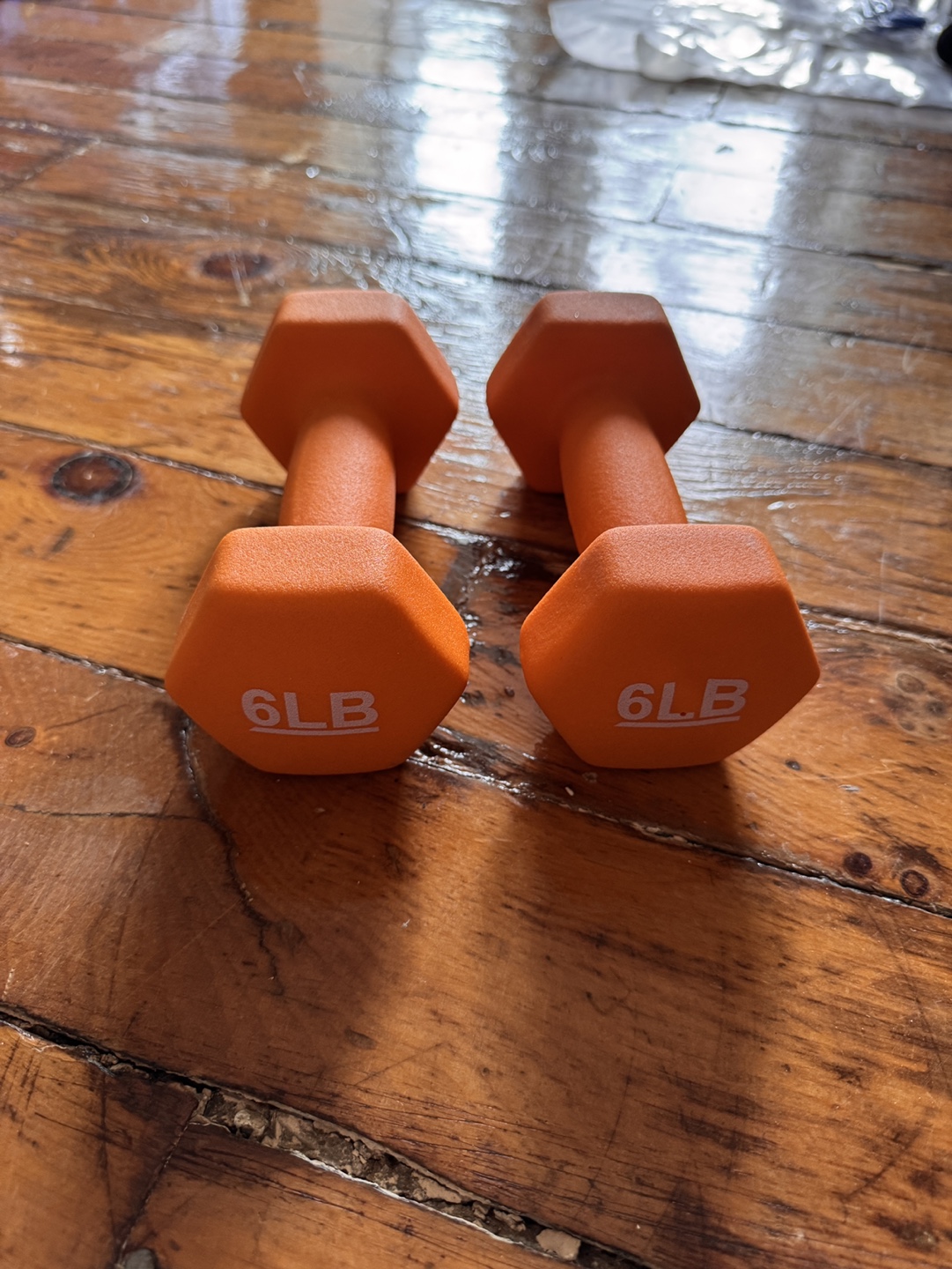 6lb Dumbbells