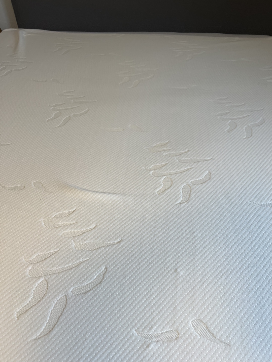 Foamite Mattress Topper - photo 3