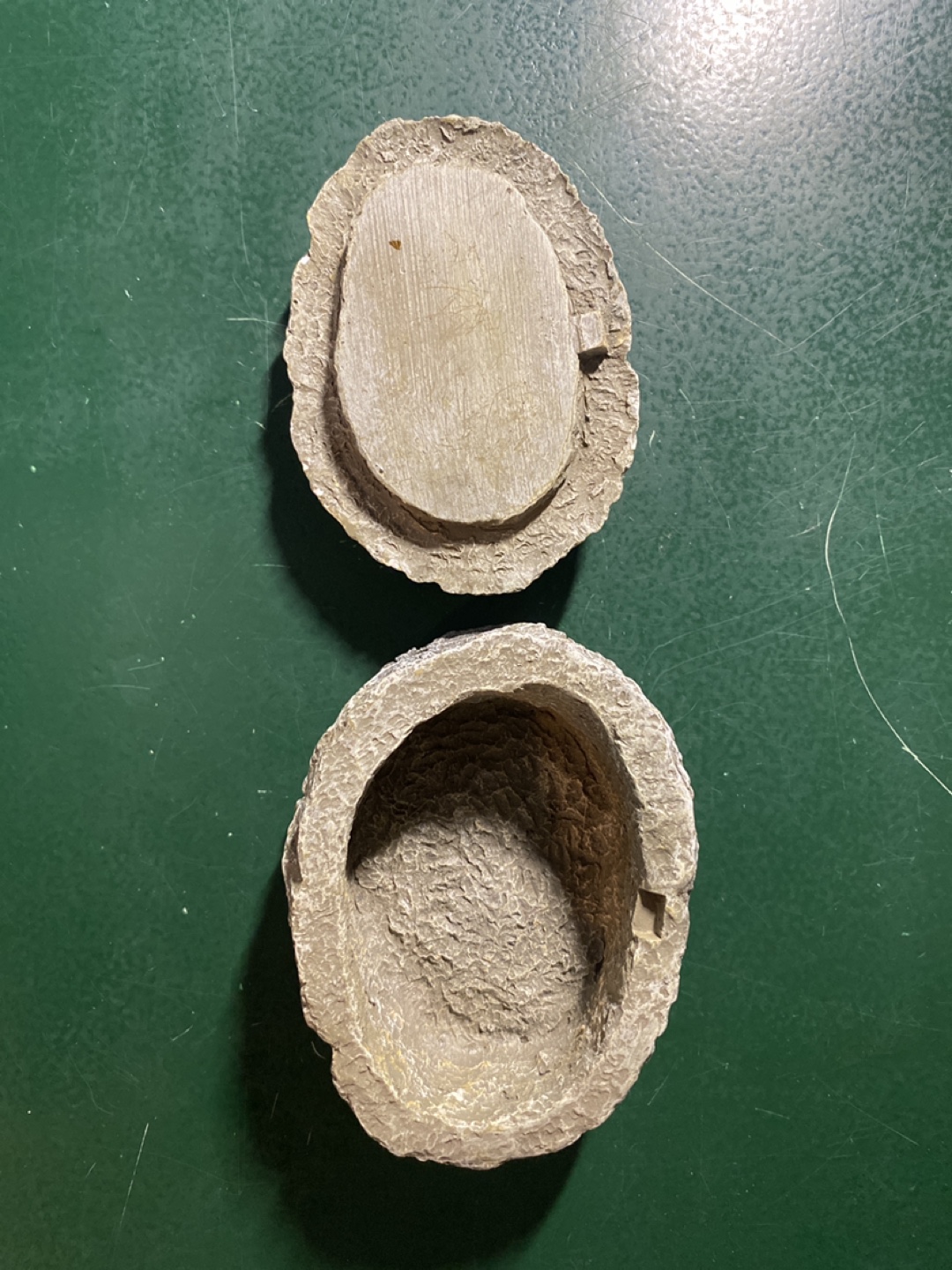 Fish fossil container! - photo 3