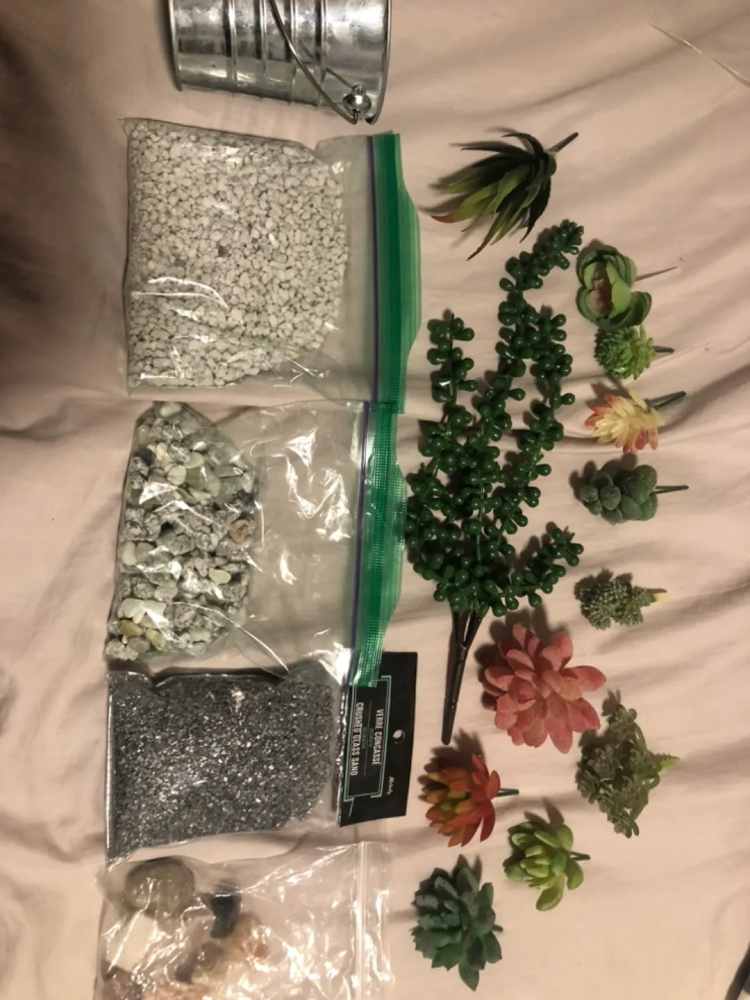 Succulent Terrarium Kit #freecycle thumbnail