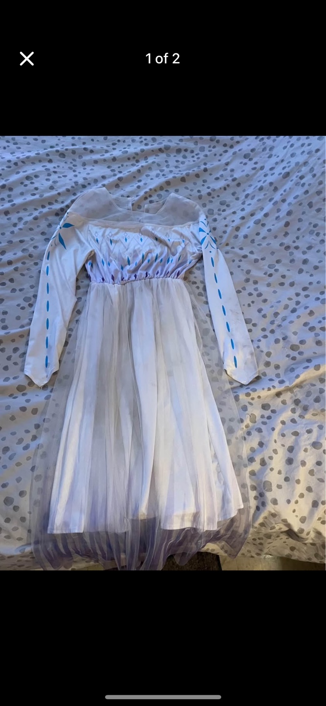 2 Elsa Princess Dresses