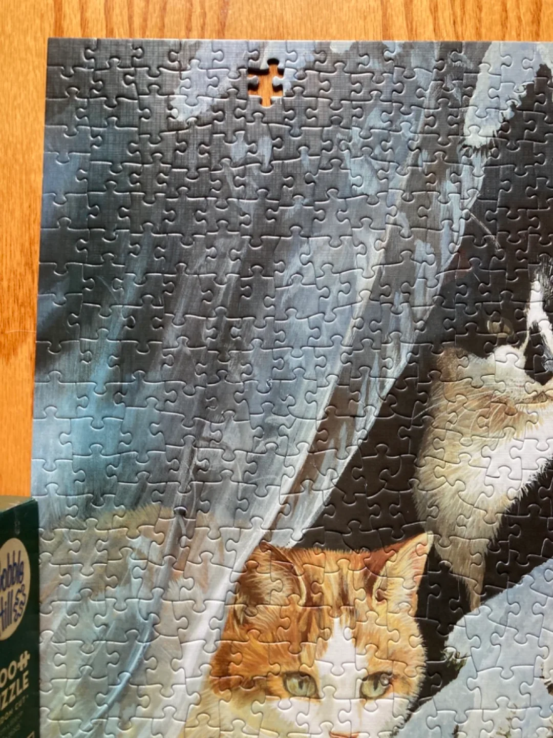 Cobble Hill 1000+ Jigsaw Puzzle - Cats and Cardinals image indicator(3)