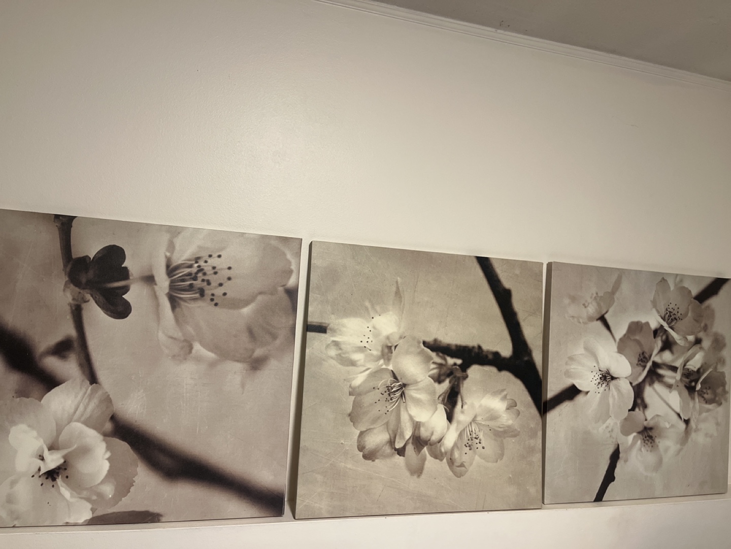 Set of 3 Floral Canvas Wall Art - photo 4