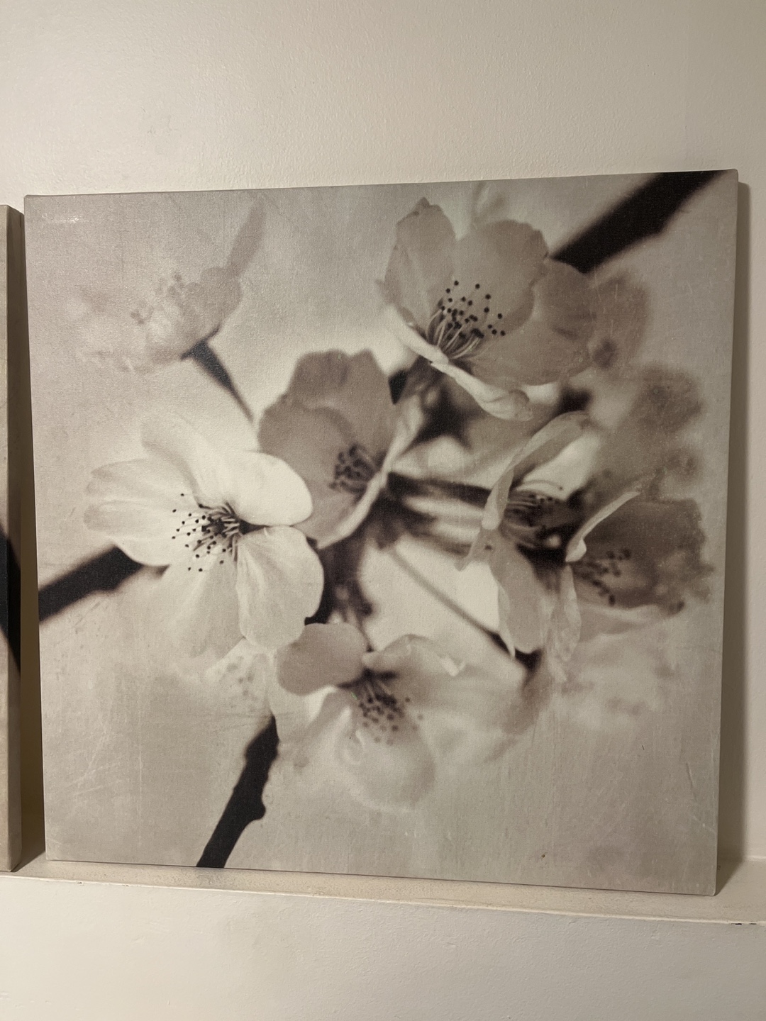 Set of 3 Floral Canvas Wall Art