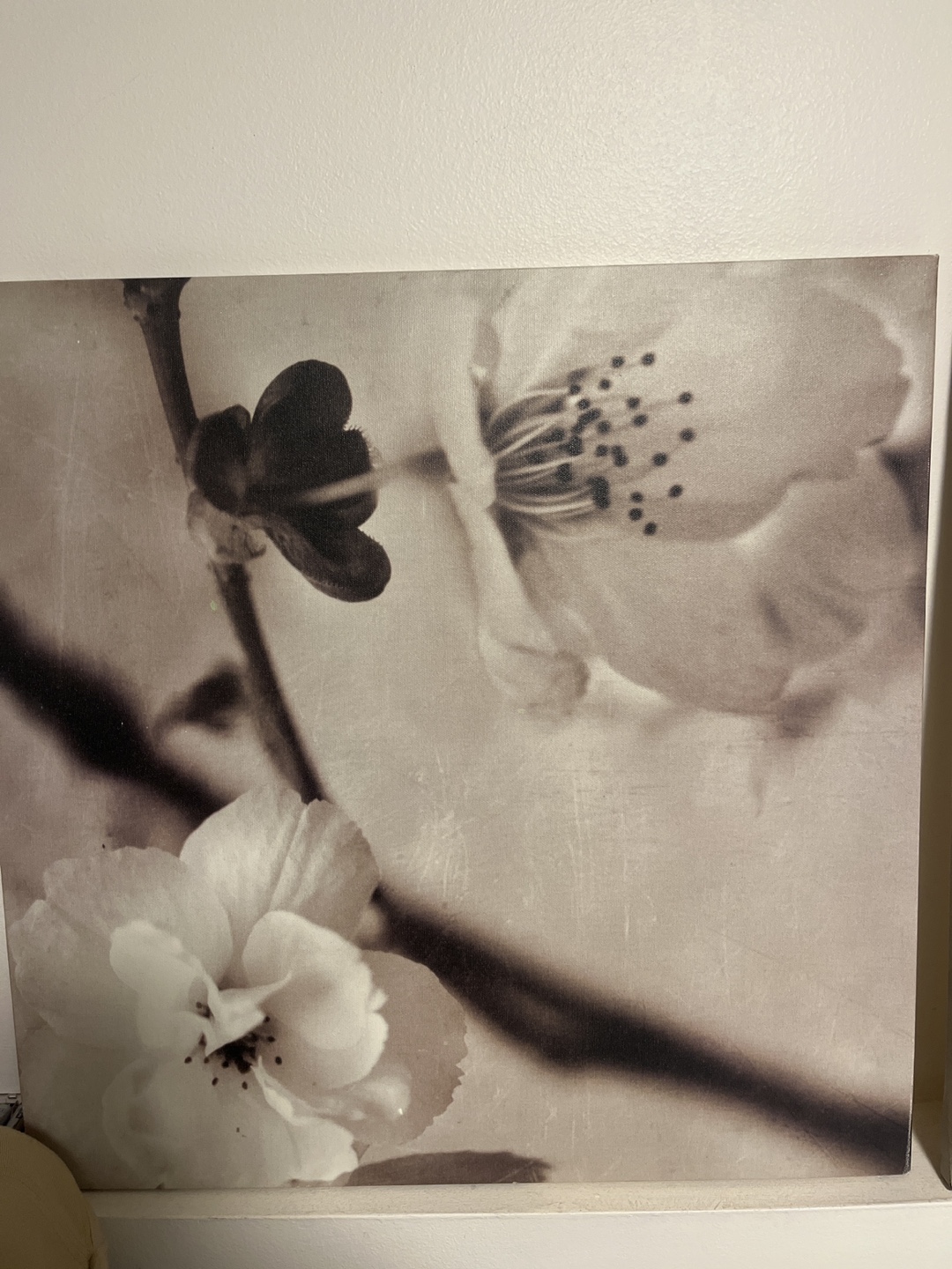 Set of 3 Floral Canvas Wall Art - photo 3
