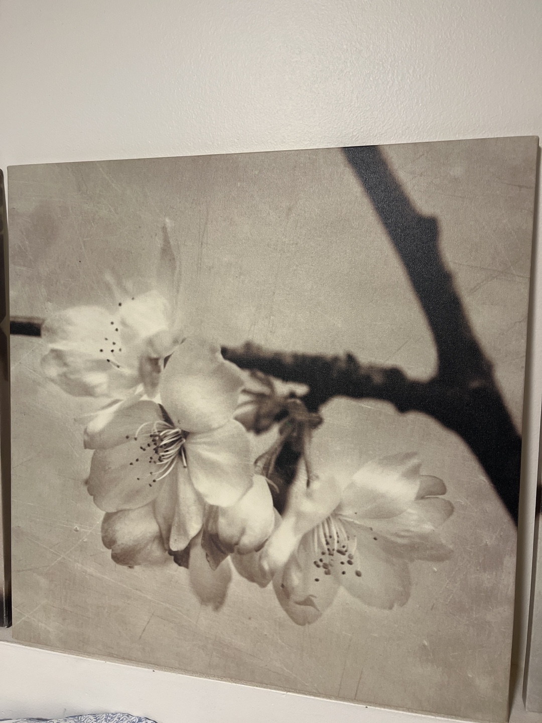 Set of 3 Floral Canvas Wall Art - photo 2