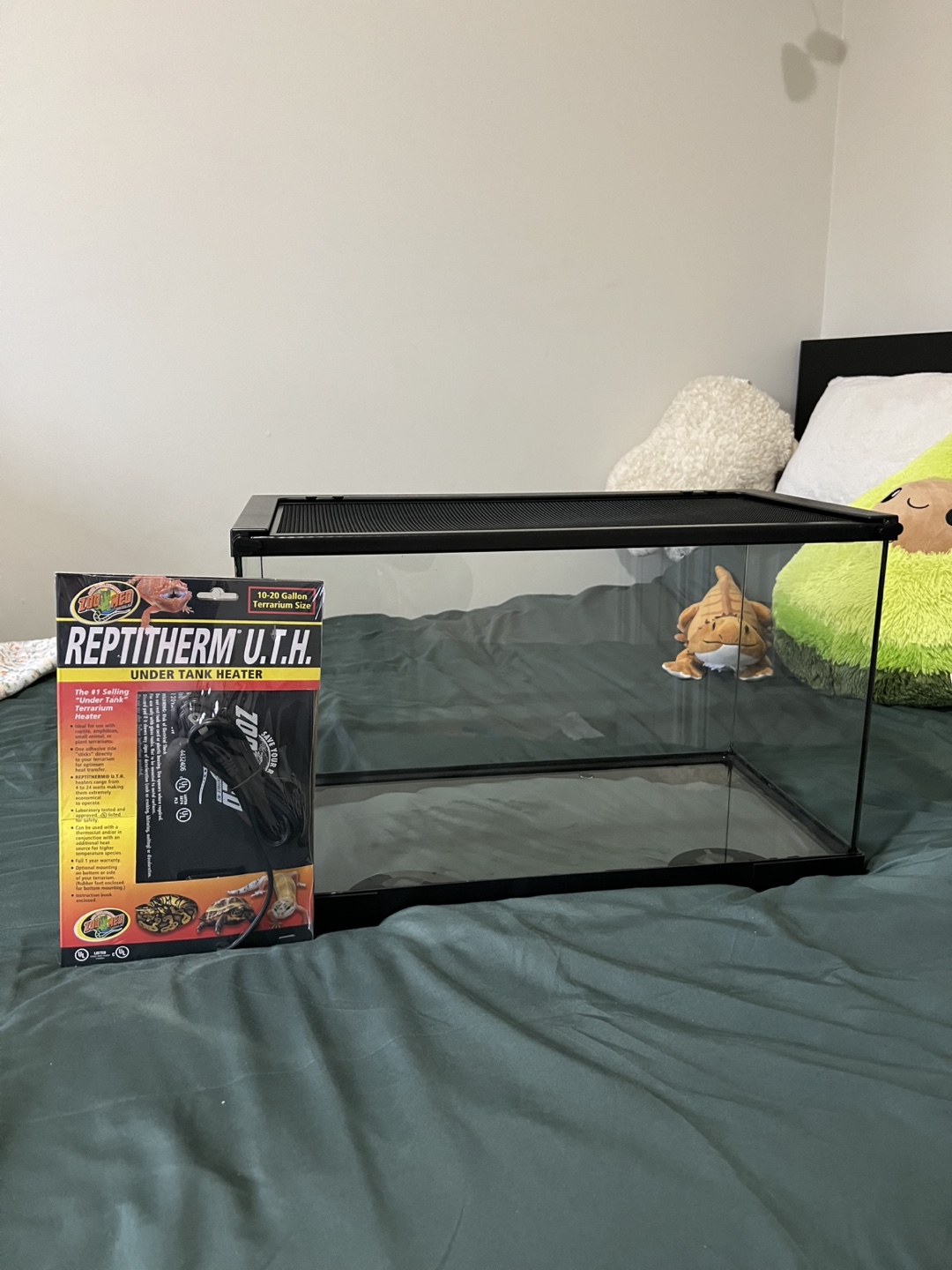 10gal Terrarium with Under Tank Heater
