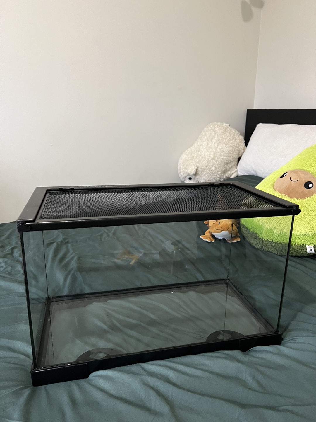 10gal Terrarium with Under Tank Heater - photo 2
