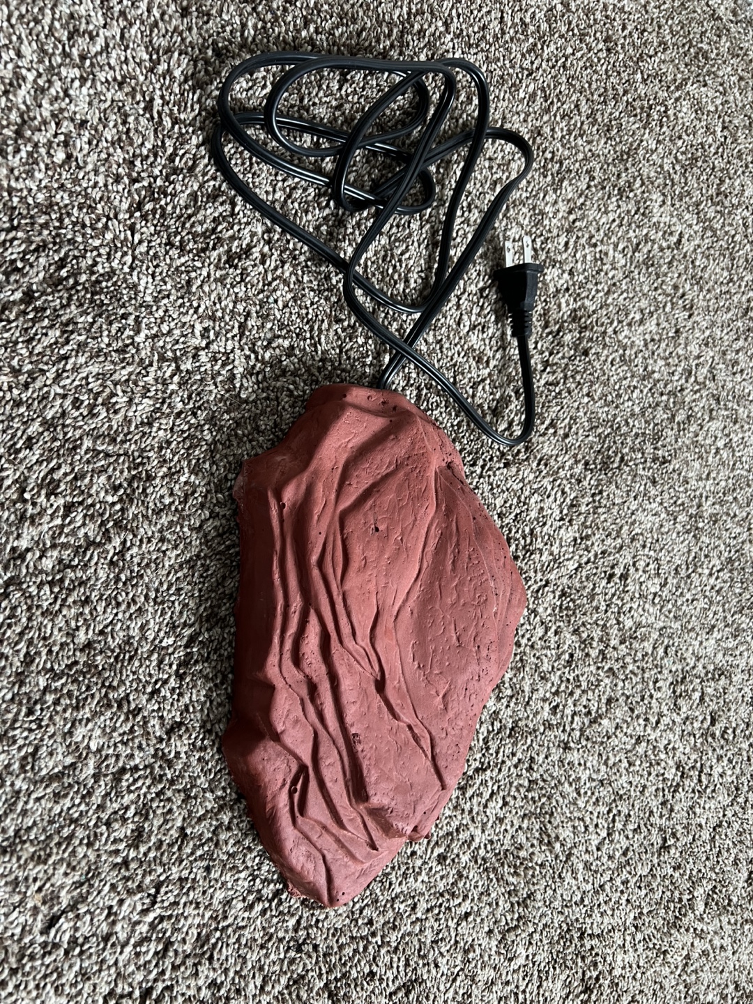 Free Zoo Med Heated Rock