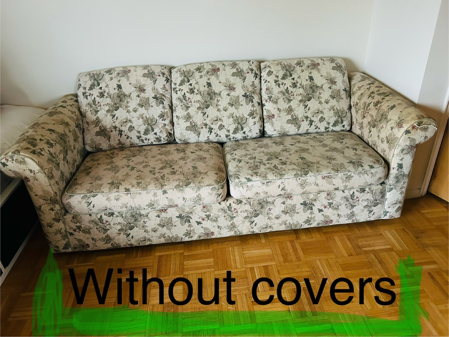 Loveseat and Sofa Set