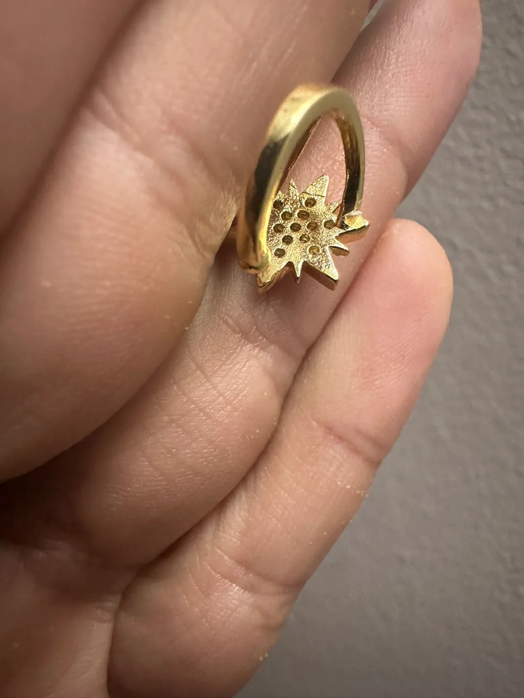 Gold Star Earring image indicator(3)