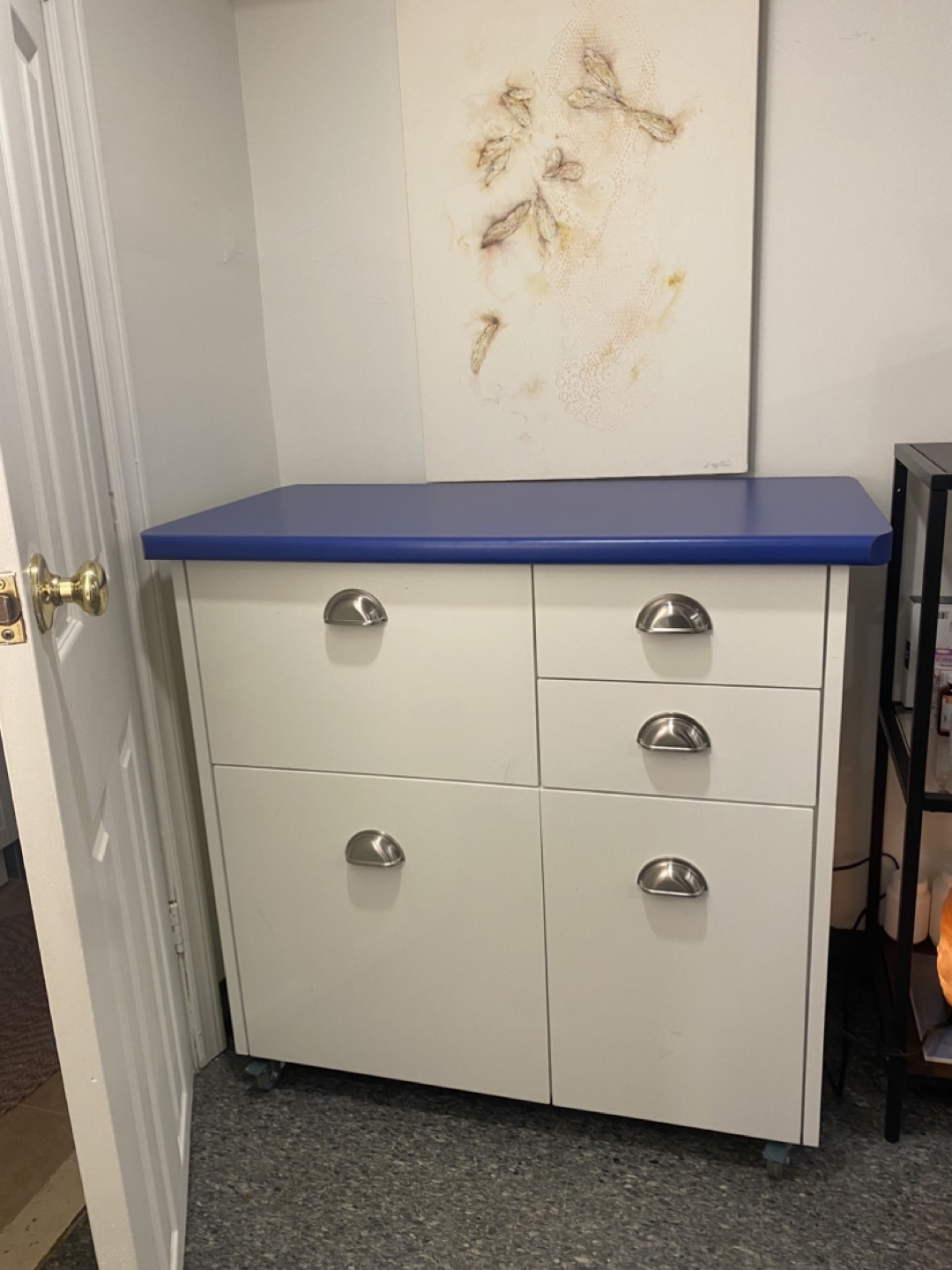 Custom Cabinet on wheels on curb 789 Dupont