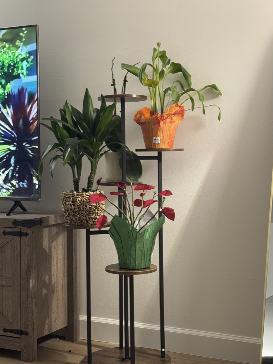 5 Tier Plant Stand with Plants 🧡 - photo 2