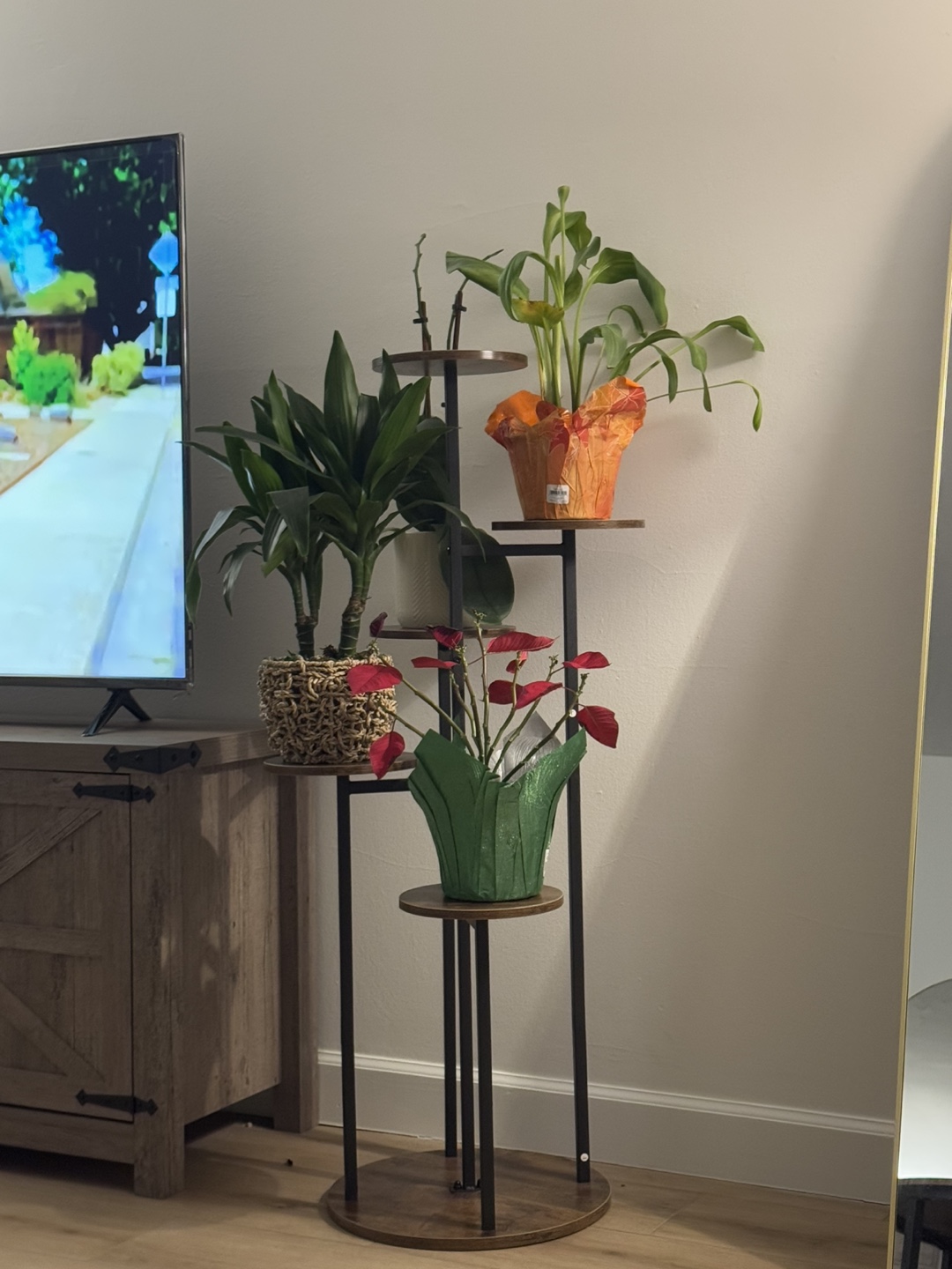 5 Tier Plant Stand with Plants 🧡
