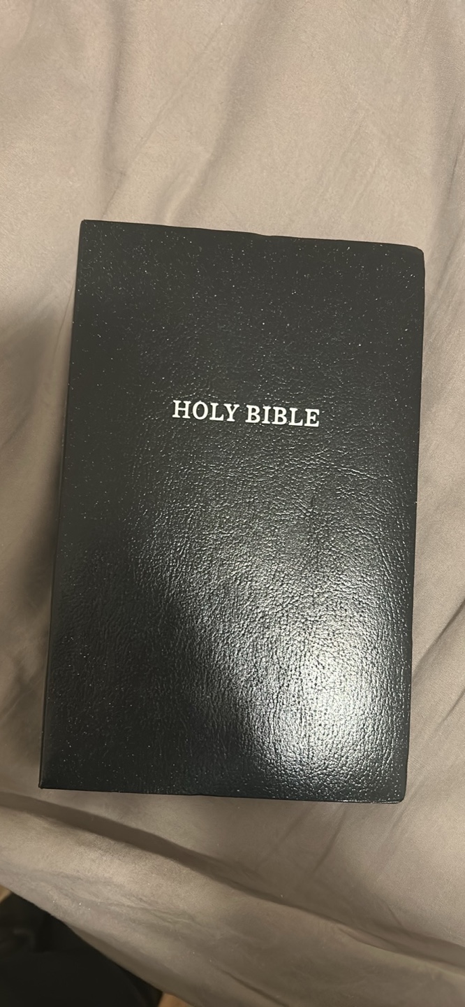 Black Holy Bible