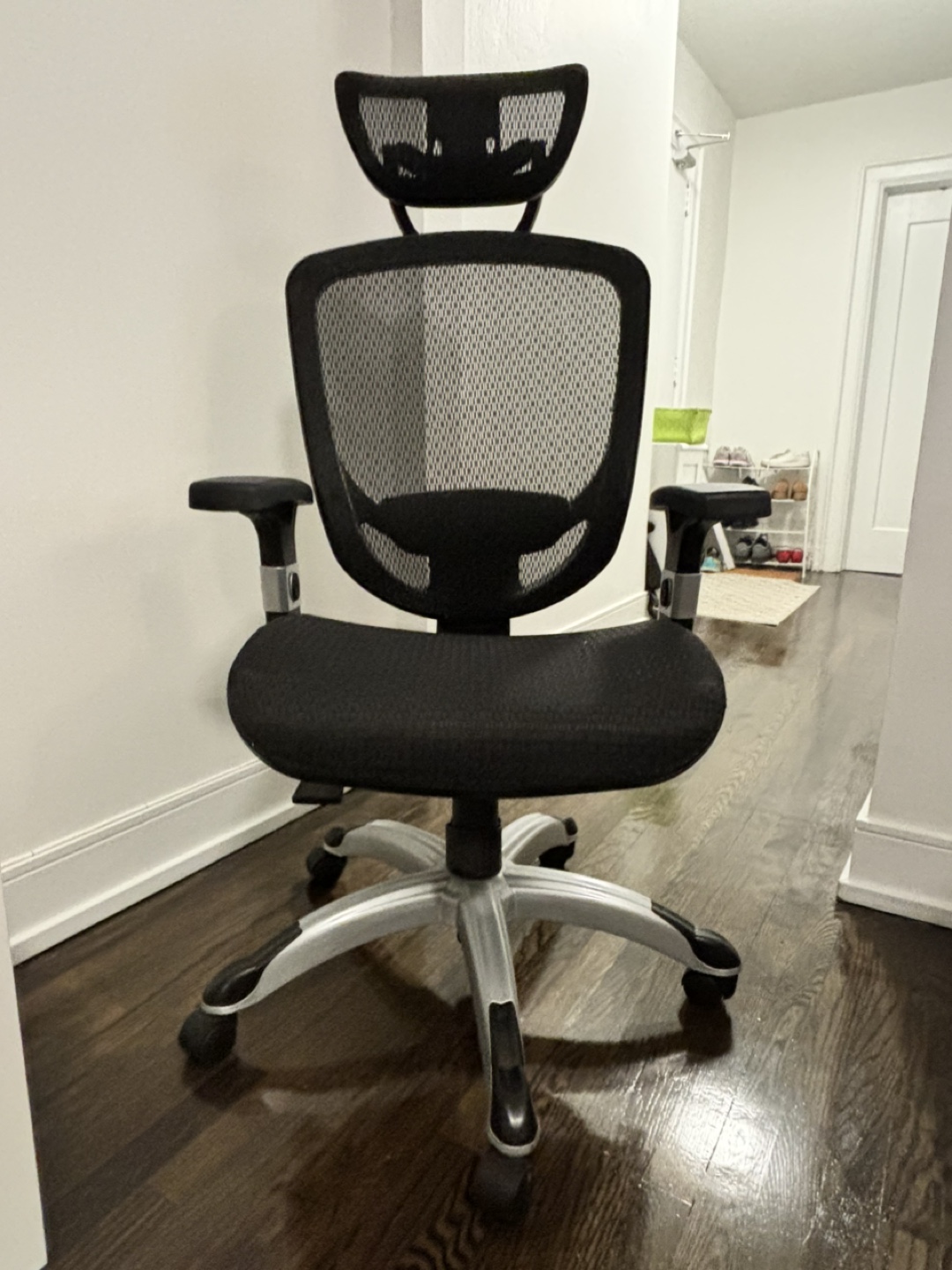 Ergonomic Office Chair with Headrest