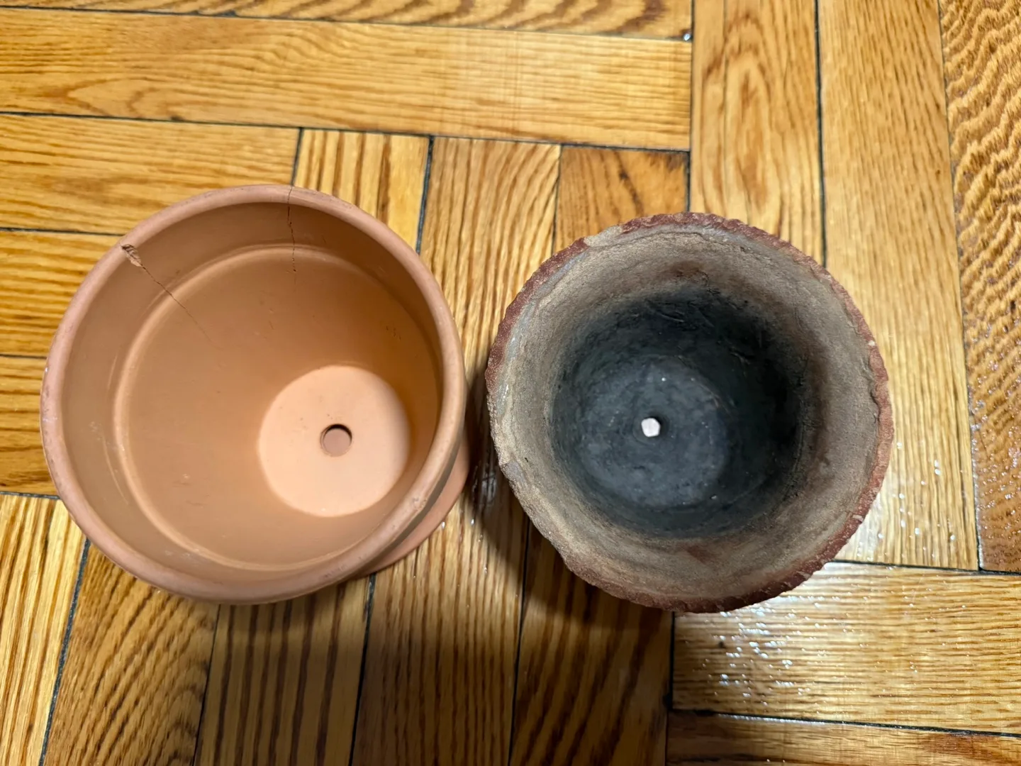 Terracotta Pots 4.5” 🧡 image indicator(3)