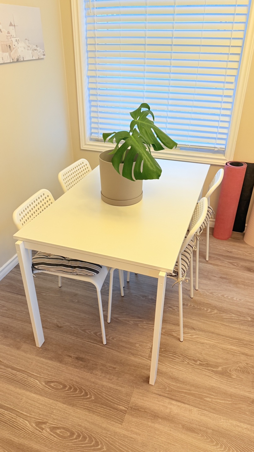 IKEA White Dining Chairs with Cushions