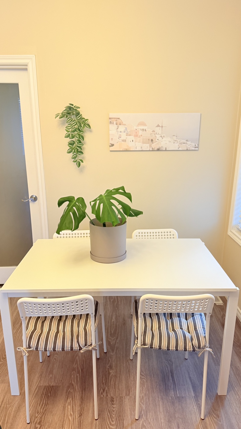 IKEA White Dining Chairs with Cushions - photo 2