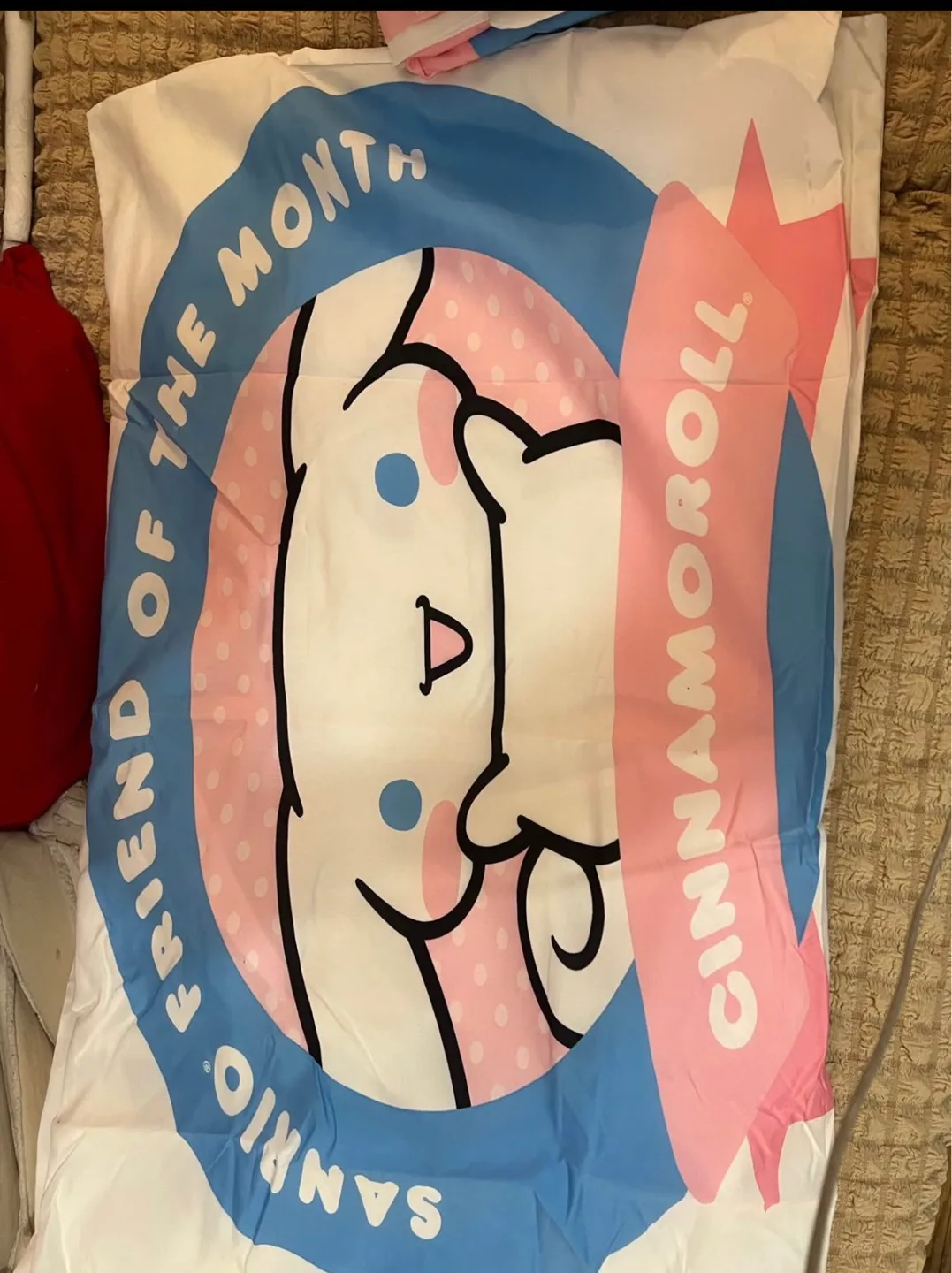 Cinnamoroll Full Size Duvet Cover with pillow cases image indicator(3)