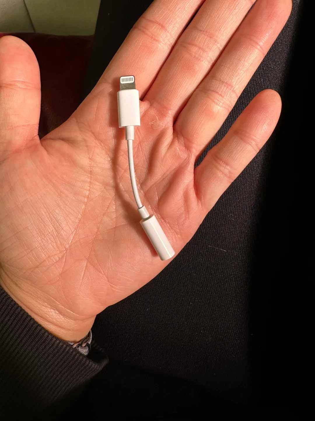 Apple Lightning to 3.5mm Headphone Jack Adapter image indicator(2)