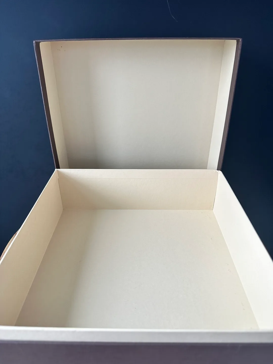 Louis Vuitton Box image indicator(3)