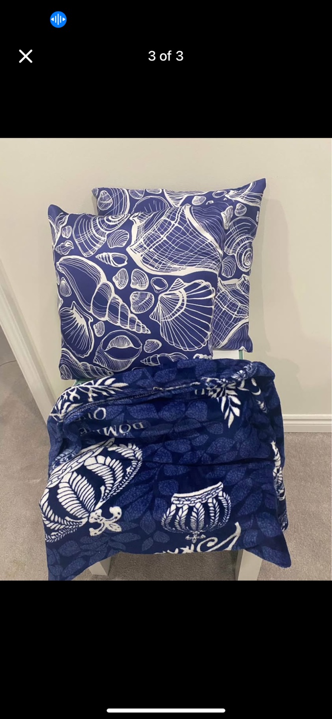 Blue and White Throw Blanket with 2 Matching Pillows