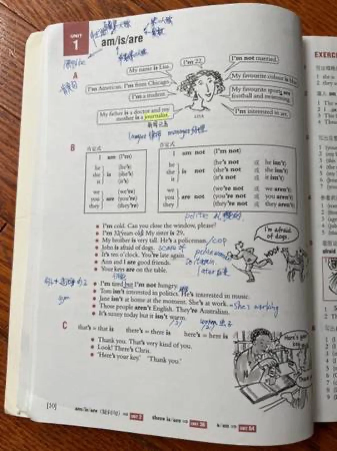 Essential Grammar in Use Workbook image indicator(5)