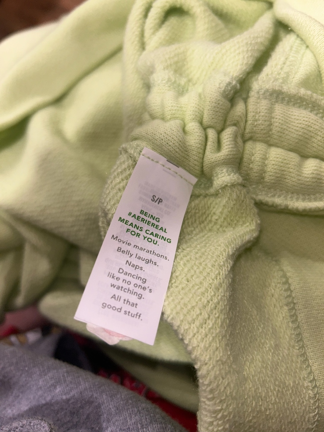 Aerie Green Hoodie - photo 4
