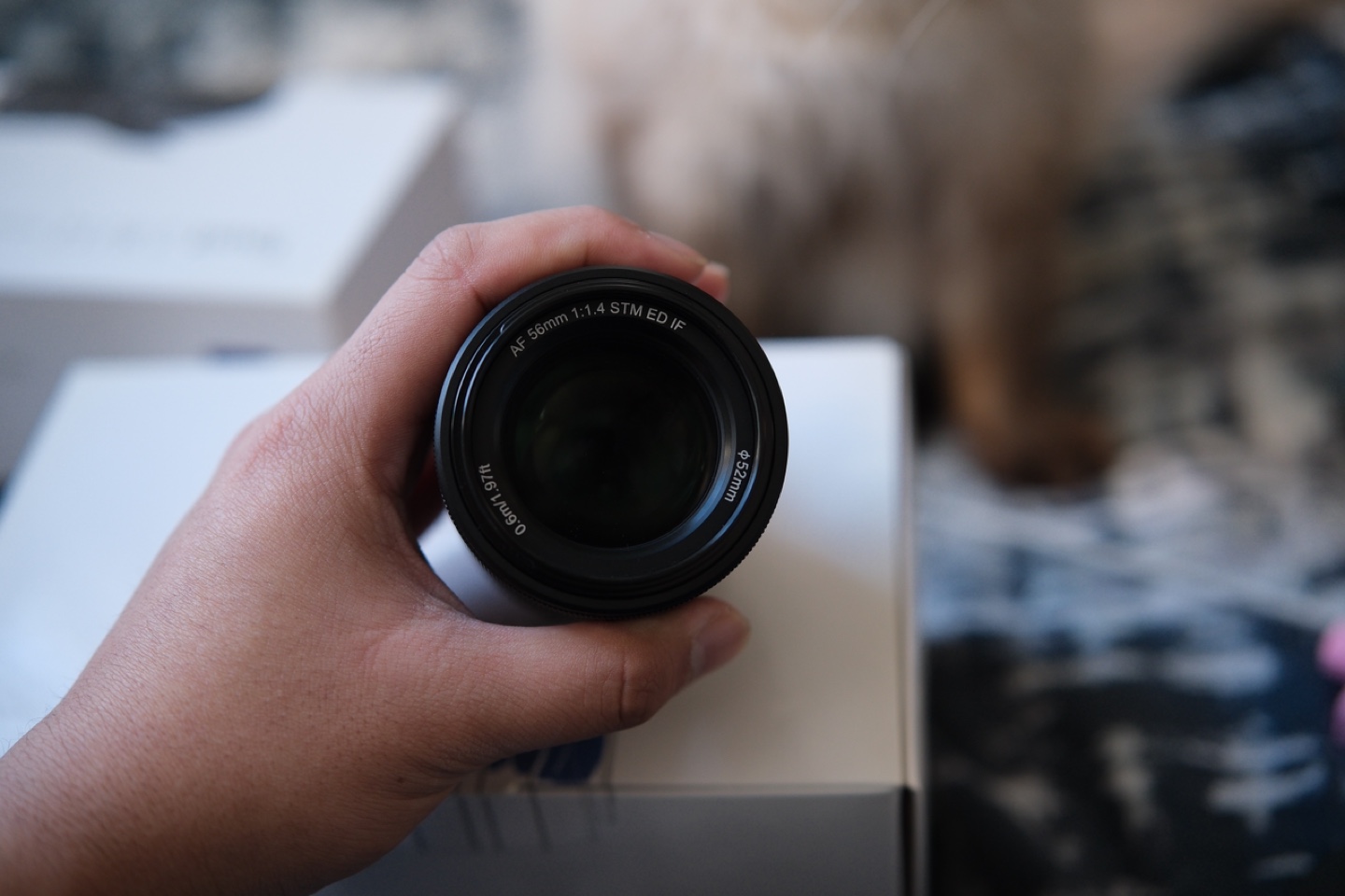 Viltrox 56 f1.4 - photo 4