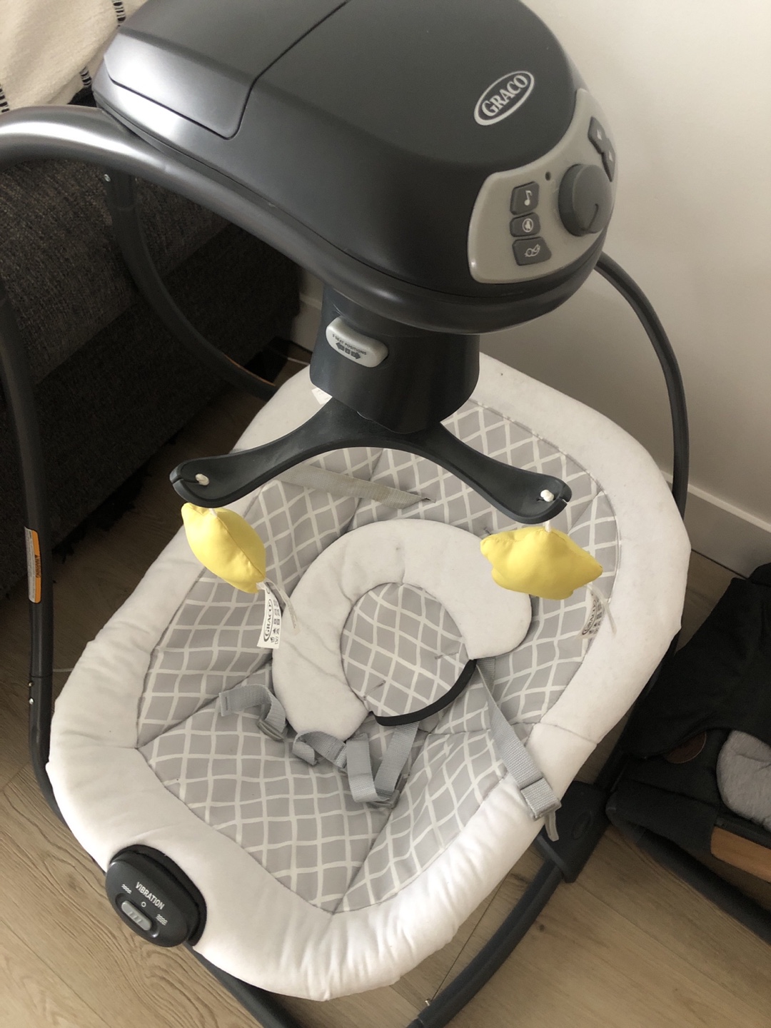 Graco Swing