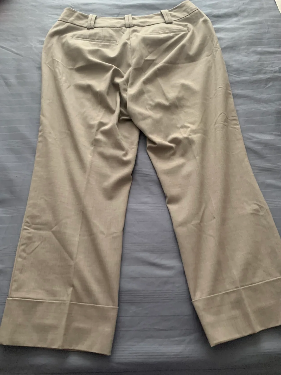 Ann Taylor Women's beige capri Pants Size 8 image indicator(3)