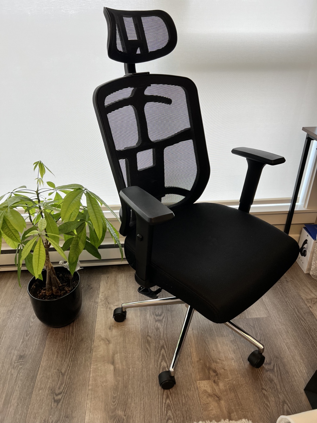 Black Mesh Office Chair