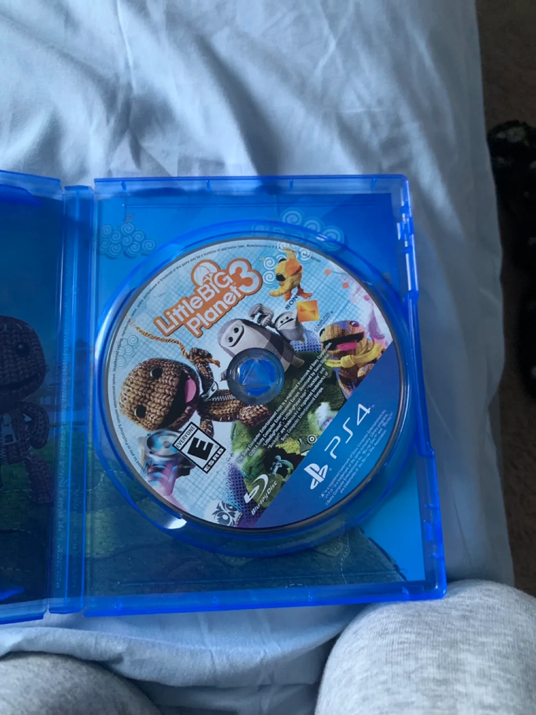 Little big plant 3 ps4 disk image indicator(3)