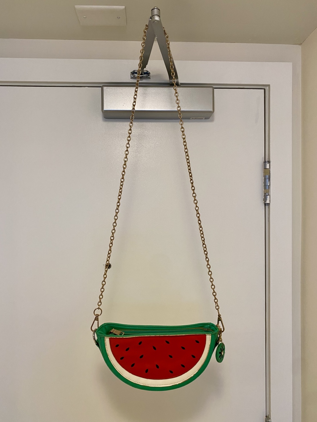 Watermelon Crossbody Bag - photo 5