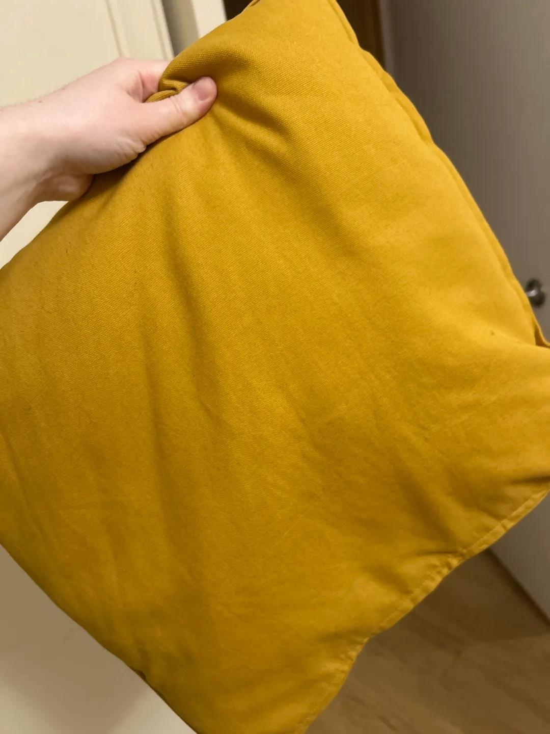 Two Throw Pillows thumbnail