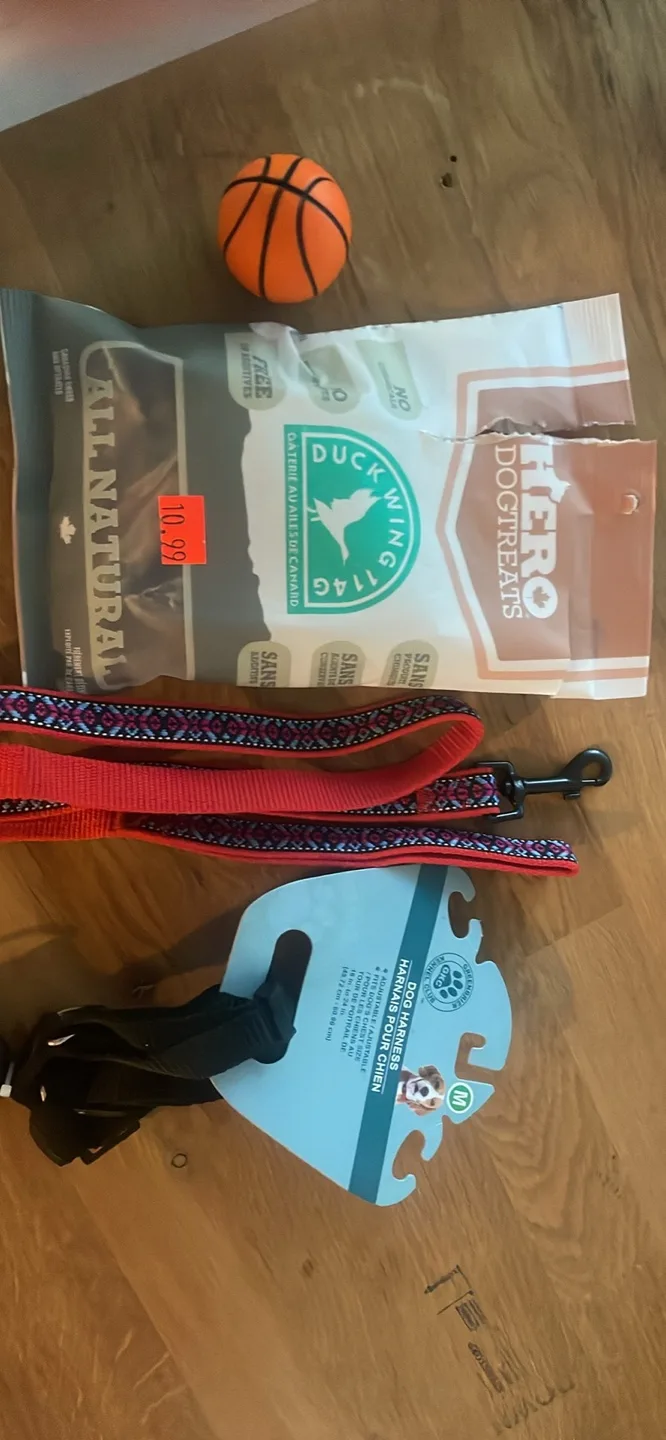 Dog Leash, Harness & Treats Bundle thumbnail