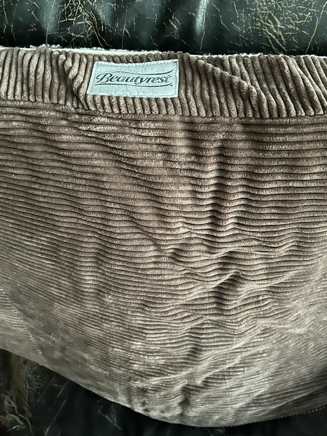 Dog mat. image indicator(2)