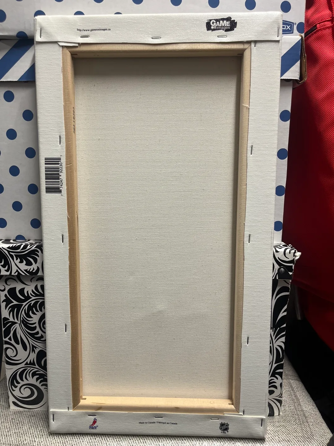 Roberto Luongo Canucks Canvas image indicator(2)