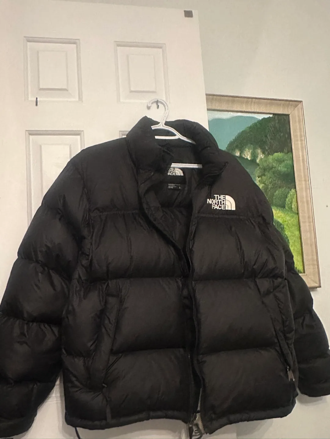 The North Face 1996 Retro Nuptse Jacket - Men's L image indicator(2)