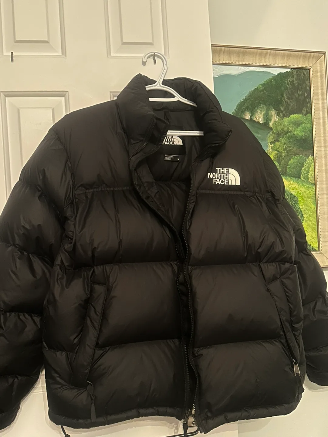 The North Face 1996 Retro Nuptse Jacket - Men's L image indicator(4)