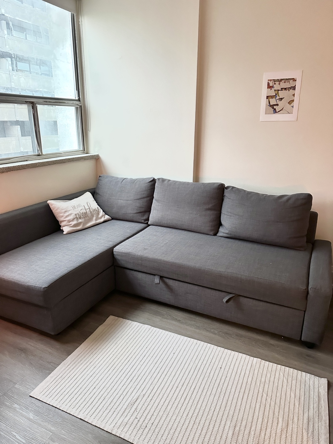 IKEA Friheten Corner Sofa Bed