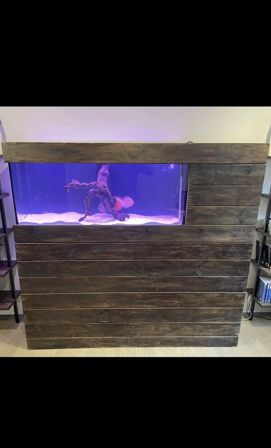 Custom-built aquarium stand with Fluval FX6 filter image indicator(3)