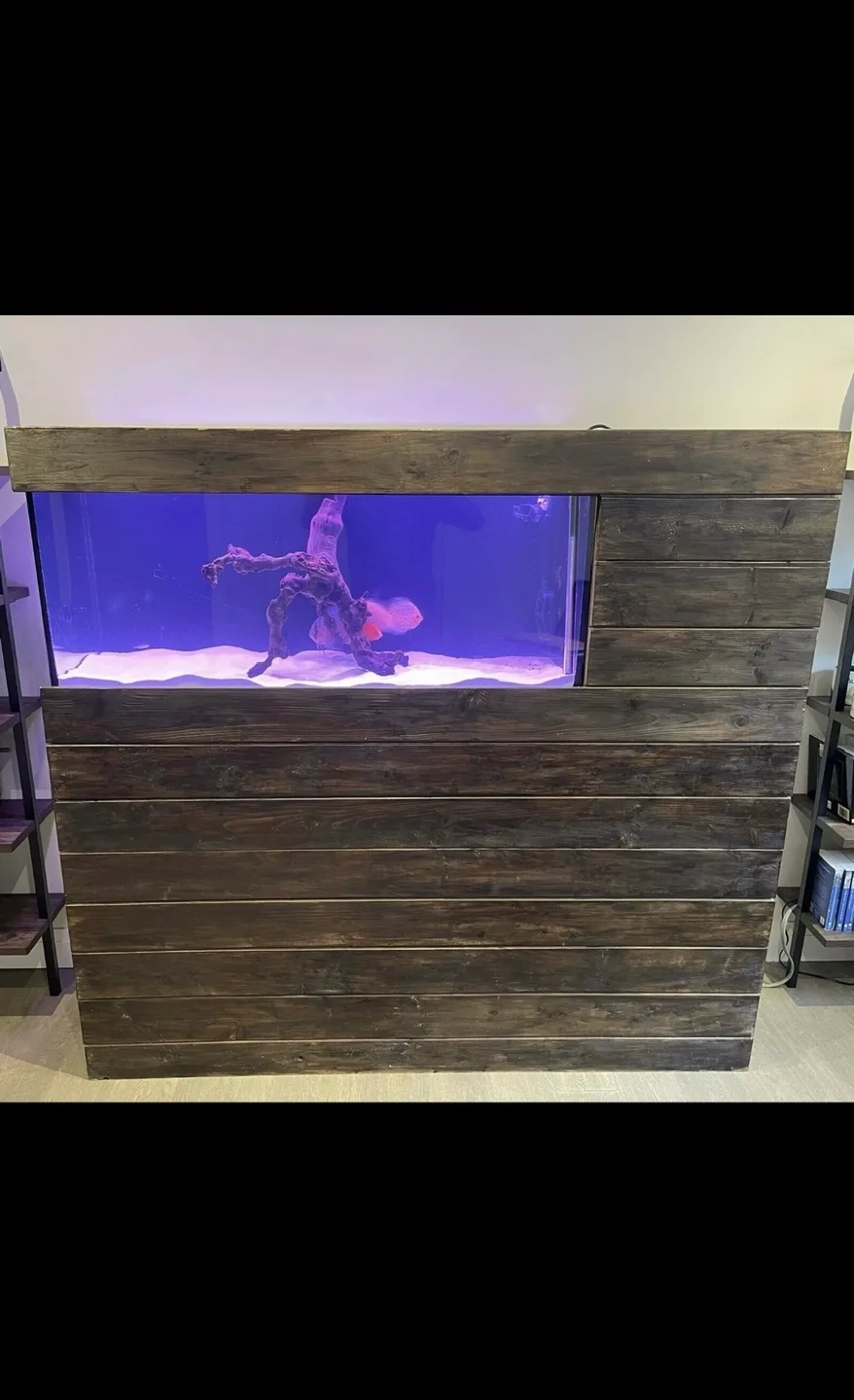 Custom-built aquarium stand with Fluval FX6 filter image indicator(8)